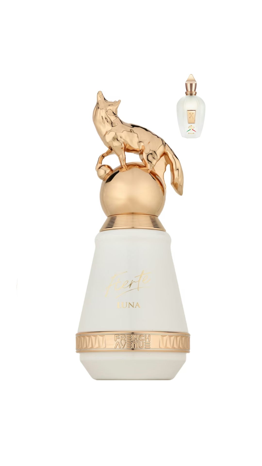 FRENCH AVENUE | FIERTE LUNA EDP
