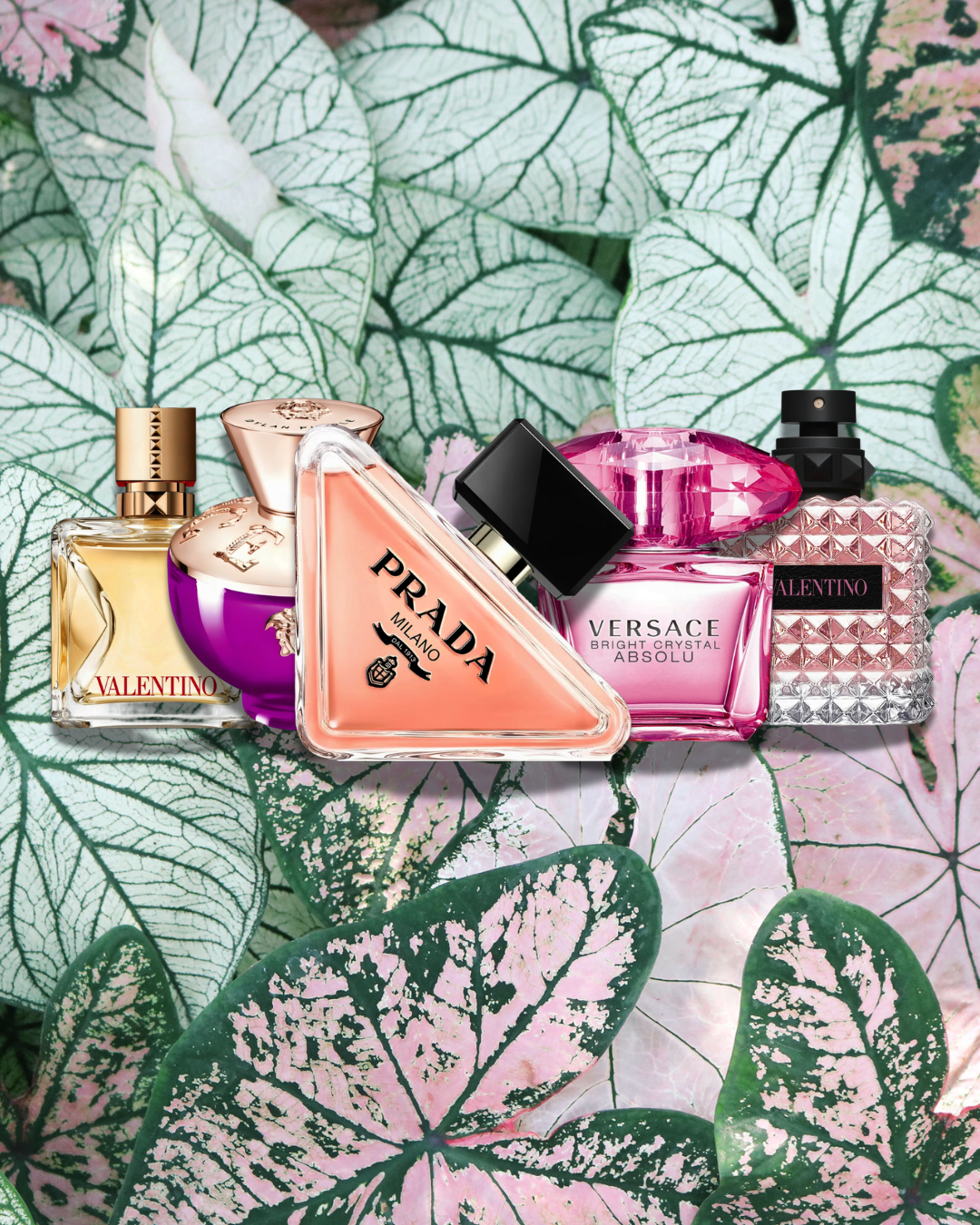 FLORAL ELEGANTE 🌹 🌸 💎
