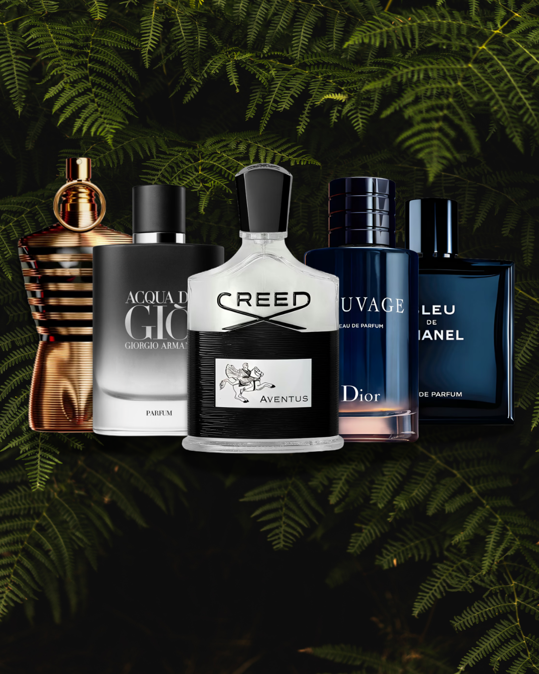 LOS REYES DE LA PERFUMERÍA MASCULINA  🌍🔥🧔🏻