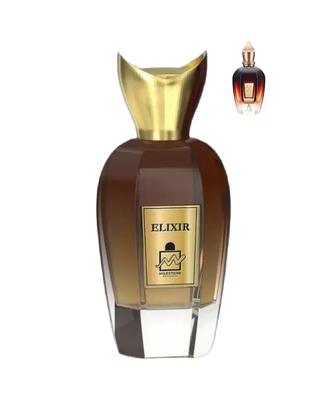 MILESTONE | ELIXIR EDP