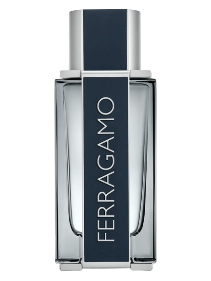 FERRAGAMO | POUR HOMME EDT